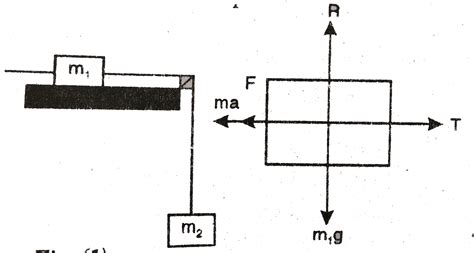 In figure `m_1=5 kg, m_2=2kg and F=1N.` Find the acceleration of either ...