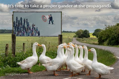 Take a Proper Gander - imagiNed Conceptual Artistry