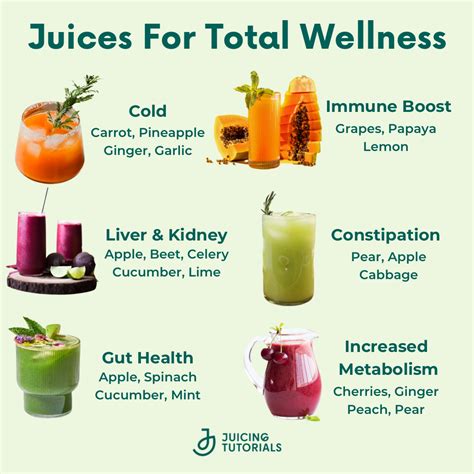Juices for Total Wellness: Delicious Gut-Healing Recipes to Help You Look and Feel Your Best ...