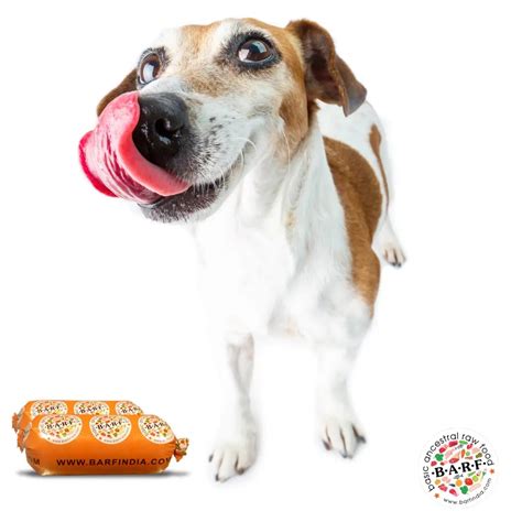 Dogs Tongue Colour: What It Reveals About Their Health