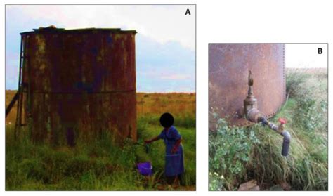 Detection of Free-Living Amoebae and Their Intracellular Bacteria in ...