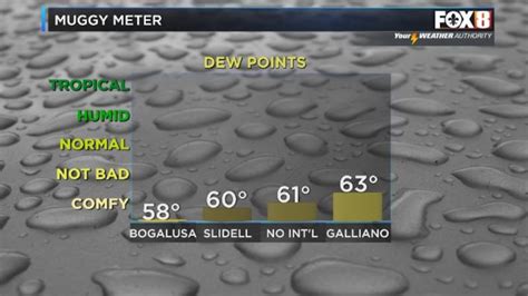 Nicondra: Less oppressive heat going into the weekend