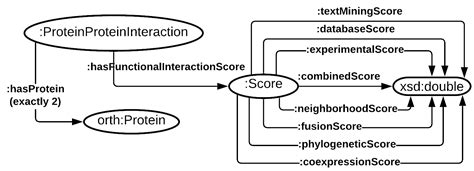 STRING Database Tutorial 的图像结果