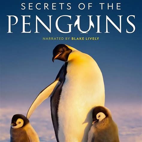 Secrets of the Penguins - IGN