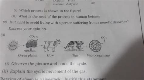 1) observe the picture and name the cycle 2) explain the cyclic ...