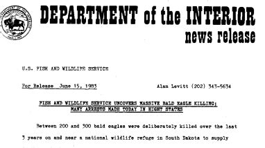 Fish and Wildlife Service Uncovers Massive Bald Eagle Killing; Many ...