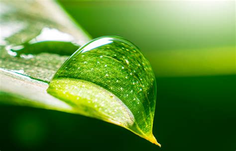 Data & AI for Sustainable Business Transformation - Capgemini India