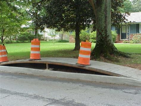 Image result for Tree Root Bridge