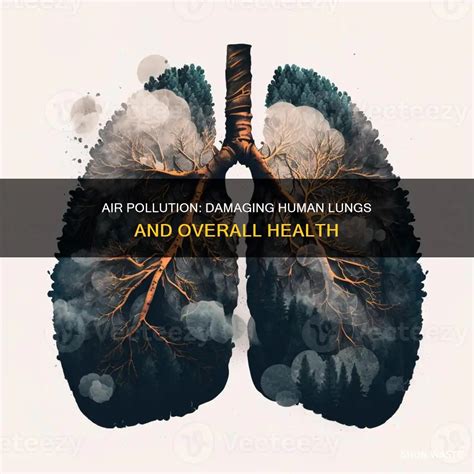 Air Pollution: Damaging Human Lungs And Overall Health | ShunWaste