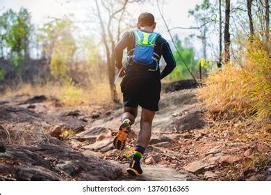 Jogging Exercise 的图像结果