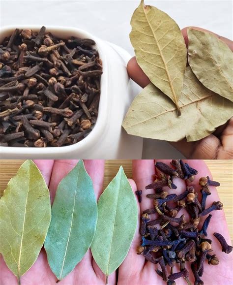 Cloves and Bay Leaves: The Benefits - iadun