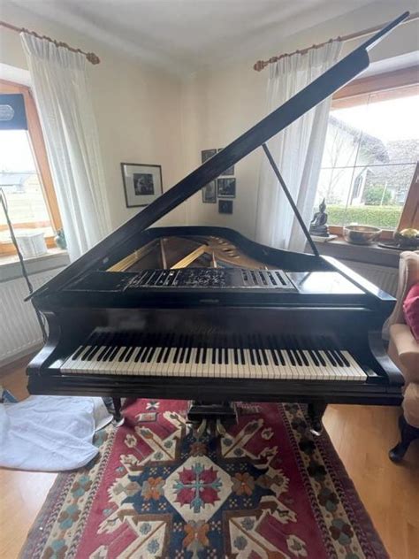 piano a queue - Blüthner acheter. Blüthner Flügel 1910 ...