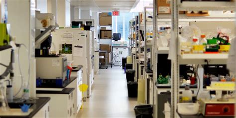 Molecular Genetics Lab 的图像结果