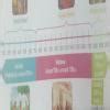 timeline of history class 8 chapter 2 - Brainly.in