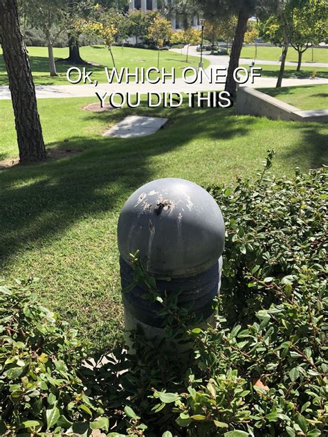 OK WHO BANGED THE GIANT DILDO : r/femboymemes