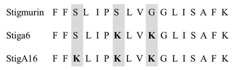 Analogs of the Scorpion Venom Peptide Stigmurin: Structural Assessment ...