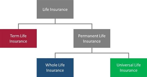 Image result for Universal Life Insurance Vs Term Life Insurance