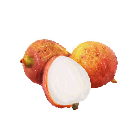White Pulp Lychee, White, Pulp, Fruit PNG Transparent Clipart Image and ...