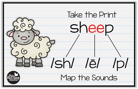Orthographic Mapping Template