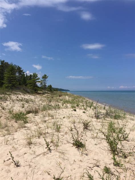 Hoeft State Park Campground | Rogers City, MI