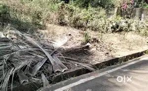 Available settlement plot at Bicholim-Bordem, 200 mtr from NH17 45lacs ...