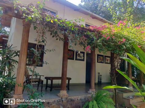 Want To Be Closer To Nature?Then Pack Your Bags, And Head Out To This ...