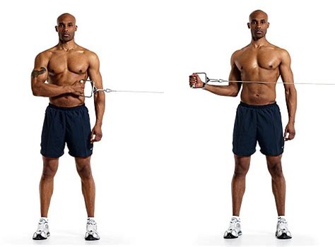 Image result for Cable Rotation