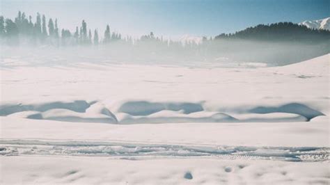 Sonamarg Avalanche Triggers Travel Disruptions As Snowfall Intensifies