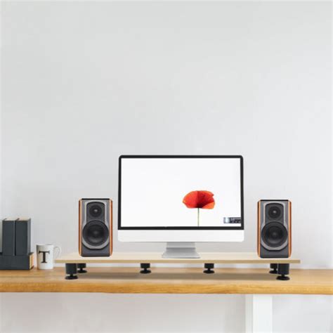 Computer Monitor Stand Riser for 2, Dual, Double for India | Ubuy