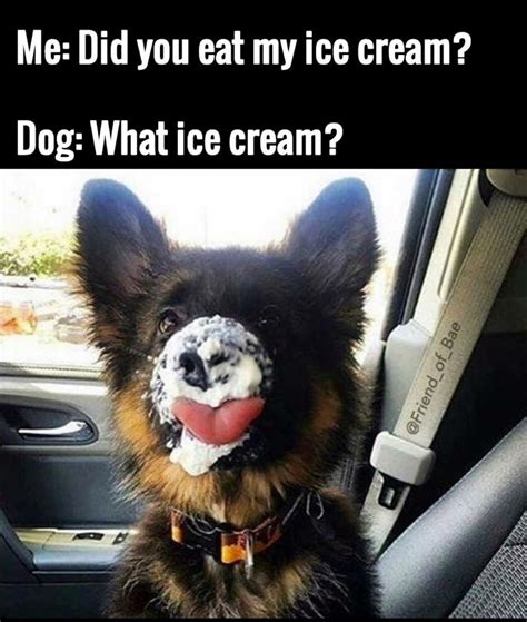 WHERE IS MY ICE CREAM - Meme subido por PointyTiddies :) Memedroid