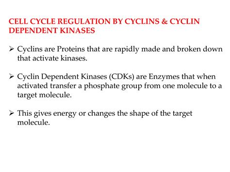CELL CYCLE & ITS REGULATION.pptx