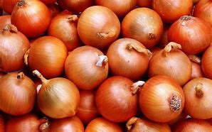 Image result for Onion