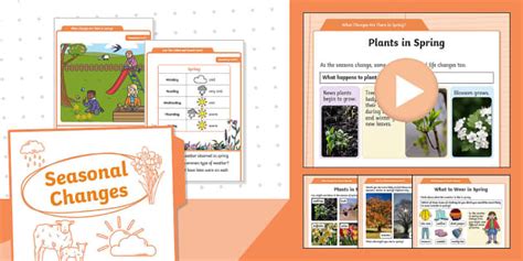 Image result for Spring 1 Guide