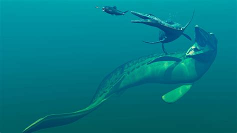 Mosasaurus and other mosasaurs of the dinosaur age | Live Science