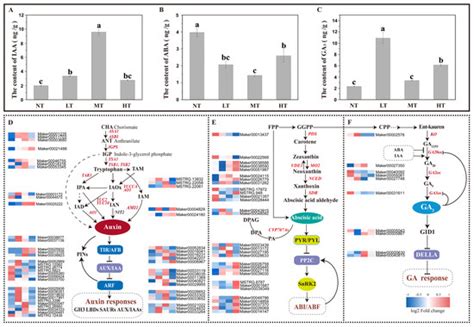 Paclobutrazol Promotes Root Development of Difficult-to-Root Plants by ...