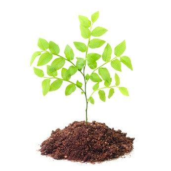 Nachhaltige Unternehmensstrategie mit CSR - 24/03/2010