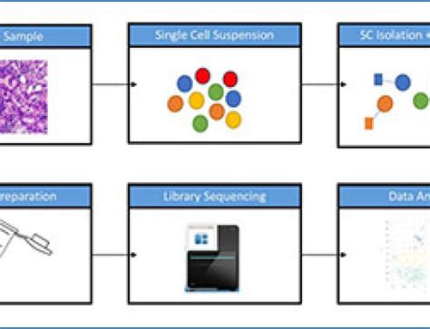 RNA Sequencing Method 的图像结果