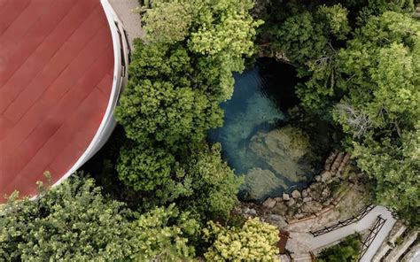 Exclusive Cenote Villa | Pool Spa Jungle Luxury - Villas for Rent in ...