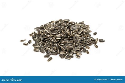 Sunflower Seeds Pile, Striped Raw Seeds Isolated Top View Stock Image ...