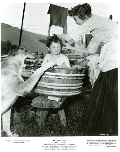 SCVHistory.com LW2780d | Film-Arts | 'Old Yeller' (Disney 1957).