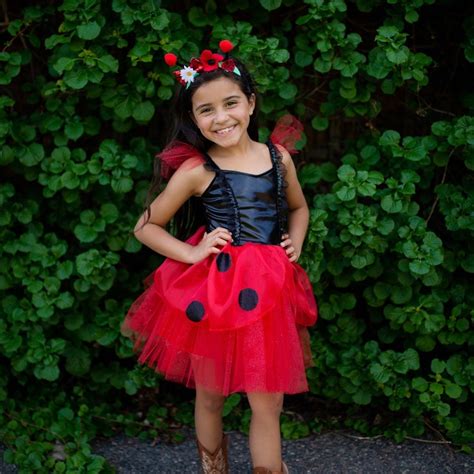 Ladybug Dress & Headband, Ladybug Dress, Ladybug Costume, Kids Dressup ...
