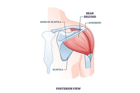 Image result for How to Get Delt On Computer