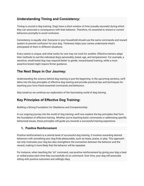 Image result for Guide Dog Training Basics