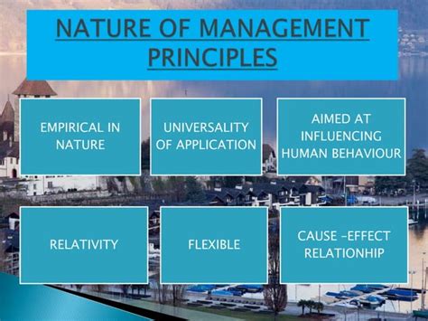 Image result for Principles of Management Explained