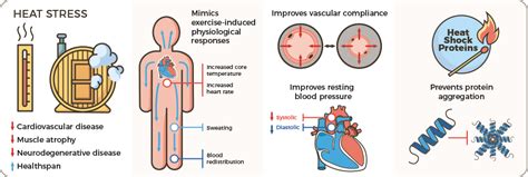 Image result for UnityPoint Health Heat Explained