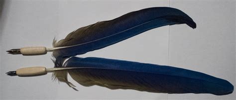 Make Pens 的图像结果