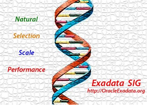 Image result for Oracle Exadata Database Logo