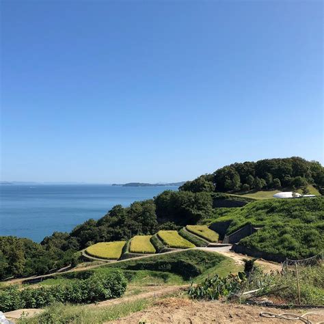 TESHIMA TERRACED RICE FIELD PROJECT (2026) All You Need to Know BEFORE ...