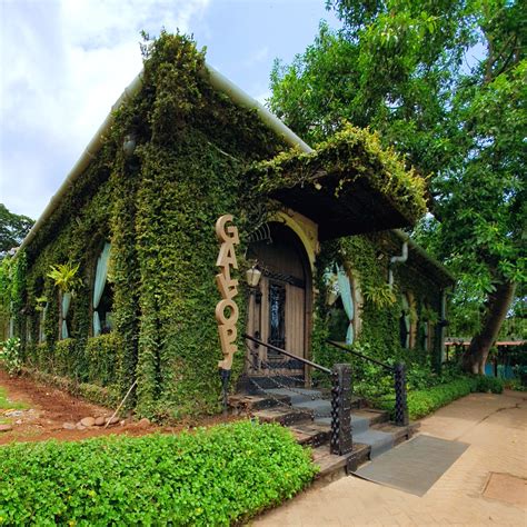 Visit Iconic Gallops At Mahalaxmi Racecourse I LBB, Mumbai