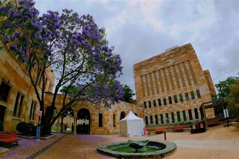 The University of Queensland: Acceptance Rate, Admission 2026, Rankings ...